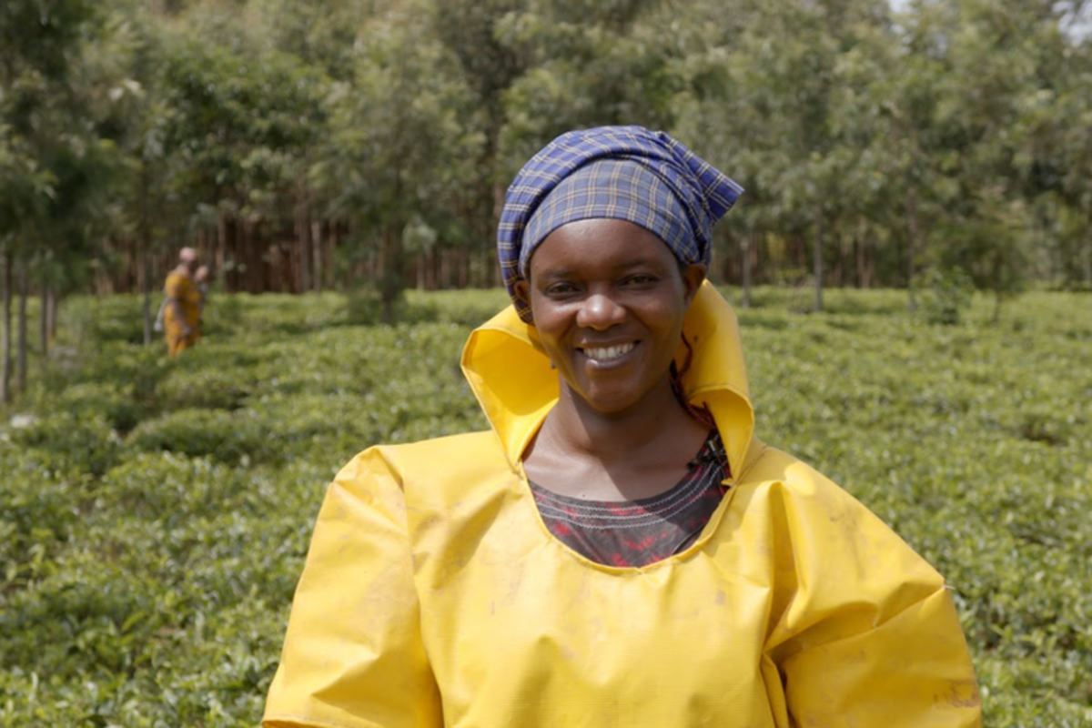 Claudine Mukesharugo, tea farmer from Kinihira, Rwanda
