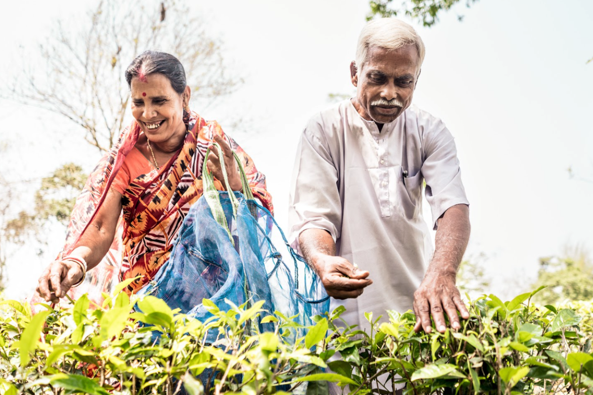The Suklabaidya family, tea farmers from Assam, India 