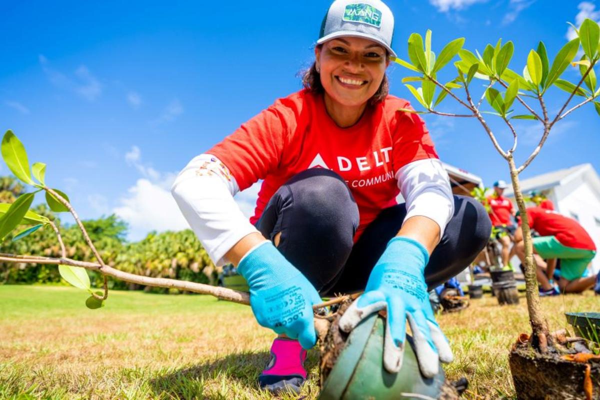 Delta people help plant trees in Palm Beach.